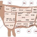 정일축산 이미지