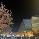 홍차오 공항 근처 홀리랜드, 차지Chagee, 헤이티, 헌지우이치엔, ZZER 쯔얼까지 한번에 해결 가능한 장소