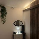 파라 에스테틱 이미지