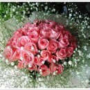 부천-중동-부천-0003 이미지