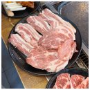 탐라도야지 이미지