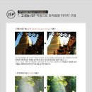 알바트로스 라이브 이미지