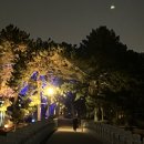 세븐일레븐 수원터미널점 | 3년만에 가는 일본 2박3일 여행 (🎏후쿠오카 1일 일정🎏)