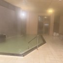 자연온천여관 | 아사무시온천 츠바키칸 숙박 후기, 100년 전통 료칸에서 즐긴 겨울 온천 여행