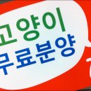 노룬산동물병원 이미지