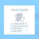 당산치과 이미지