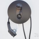 별달보라 이미지