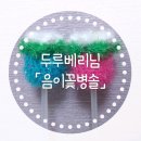 세미솔 이미지