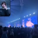 신곡사우나 | 엘지의 통합우승 그리고 나애일상 그리고 루시콘서트후기