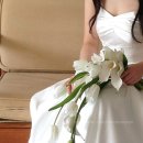 은빈플라워 | 👰‍♀️🤵‍♂️ 웨딩촬영, 부케와 헤어변형