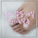 둥이네살롱(네일)