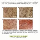 쿠퍼COPPER