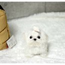 화이트특급 이미지