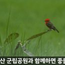 옥천골미술관 | 강천 미술관 방문후기와 실전 팁 완전정리