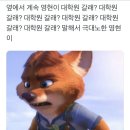 니피 이미지