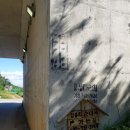 김용희순대국