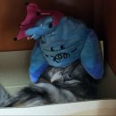 라피드모터스 이미지