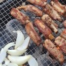 홍천강 자라바위 오토캠핑장 이미지