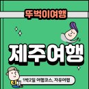 [겨울 제주 뚜벅이 여행 2탄] 1박2일 여행코스 도련감귤나무숲 함덕해수욕장 야간스냅투어