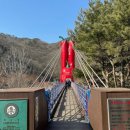 한다리마을 | [충남 청양] 겨울 알프스마을 얼음축제, 천장호 출렁다리 당일치기 오픈런 / 대전 오씨칼국수 후기