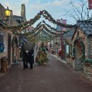 음메소농장 | 수도권 경기도 여주 크리스마스 연말 아기랑 가볼만한 곳 루덴시아 솔직후기