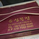 걸죽한 유성목장 수제 플레인 요거트 (내돈내산) 솔직후기