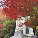 호국 충혼탑 | 창녕 가볼만한곳 만년교 남산호국공원 단풍 실시간