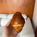 황토탕 | 부산 영도 청학동 카페 :: 신상 “꼬쇼네” (오픈런, 주차, 포토존) + 꼬쇼 후기