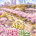 H7658 네이버블로그