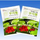 골드온누리