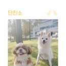 털로덮인친구들(동탄호수공원점) 이미지