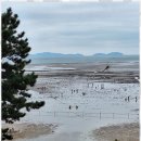 대한민원행정사사무소 이미지