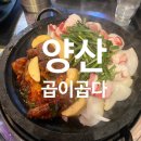 양산역로 | 양산 한우 곱창 대창 맛집 곱이 곱다 다녀온 후기