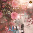 장성문화예술회관 대공연장 이미지