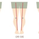 웰러스짐 이미지