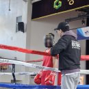 드래곤복싱체육관 이미지