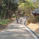 7월18(토)여행~~58년 개방 서울대수목원에서 캐터링과 함께 이미지