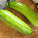 예담농원 이미지