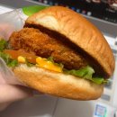 프랭크버거 | [프랭크버거 솔직후기] 내돈내산 프랭크 새우버거 칼로리, 가격, 후기