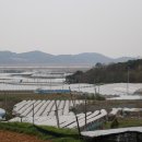 마산포농원