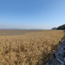 길상면-10 이미지