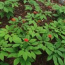 세지농장 이미지