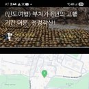 유등천 이미지