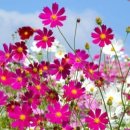 가마랑민박 이미지