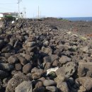 온평리-11 이미지