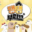 댕댕부티크