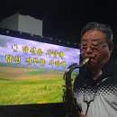 가시버시 이미지