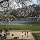 회야강변 이미지