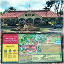 고려농장 | [하와이 여행] 파인애플 농장 돌 플랜테이션 Dole plantation /다녀온 후기 /기념품, 기념 주화 만들기