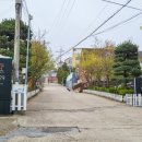 제이든29-1 이미지